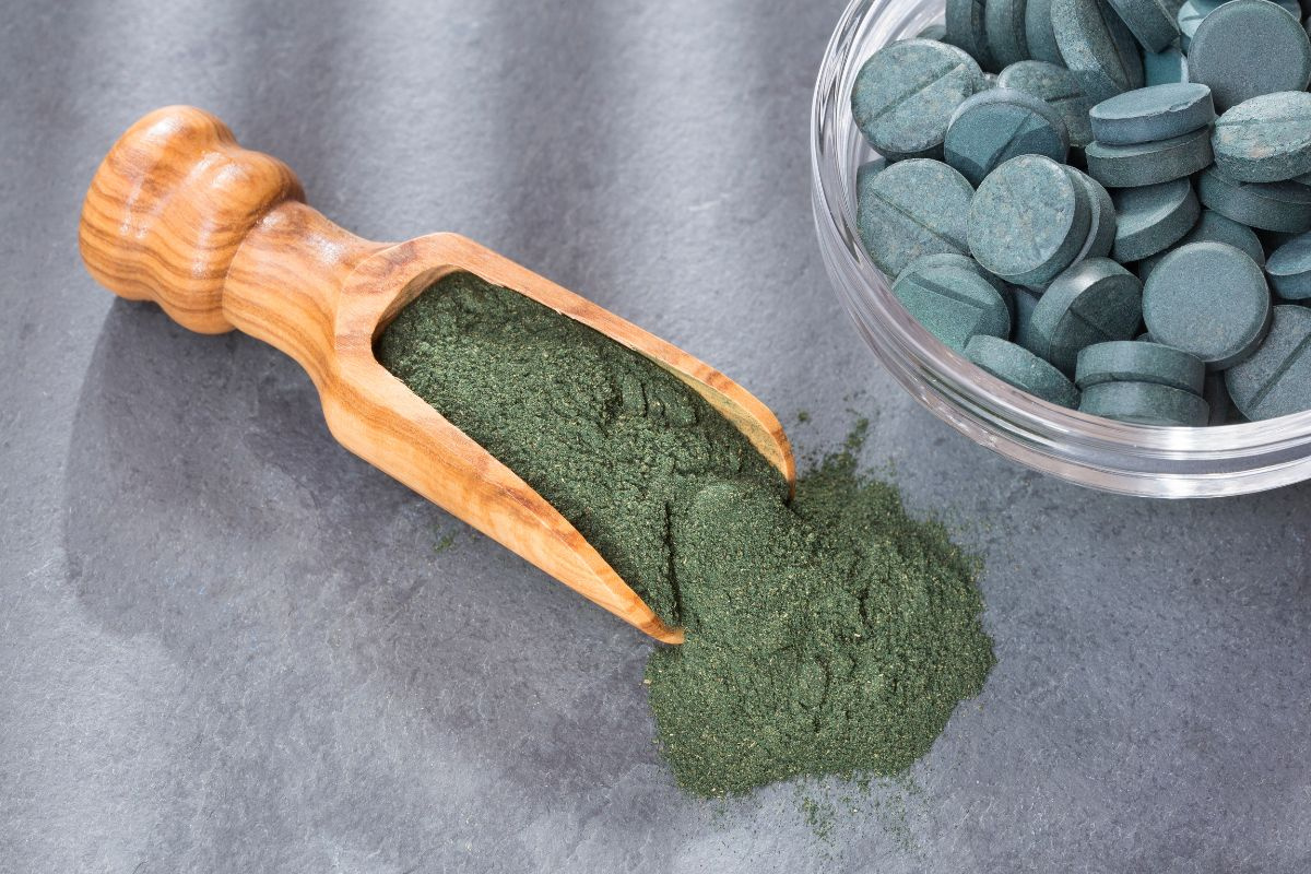Tảo Spirulina